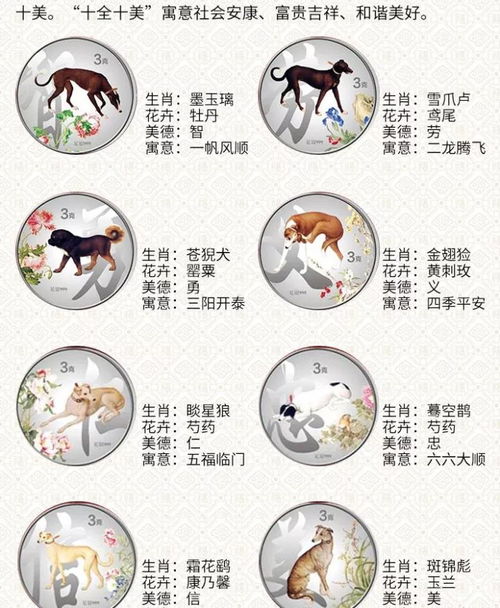 十全十美打一生肖号码，生肖乐号码是什么意思？