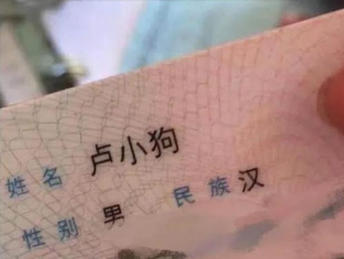 关于五行缺失的“坑”
