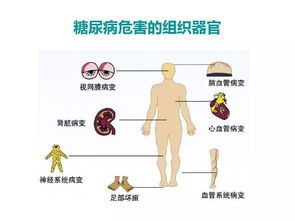 一、 生肖与五行饮食调适之理论基础