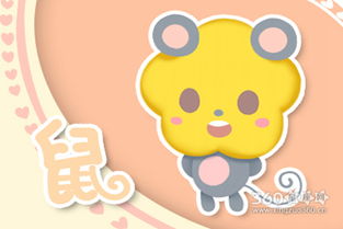 属鼠宝宝五月出生，微信名字改写为：60年属鼠女性，五月生的微信名有什么好建议吗？