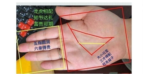 三、 指缝宽窄与泄金倾向之关联