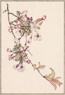 花前月下指的是哪个生肖？花前月下二三时猜生肖是什么生肖的意思是什么？