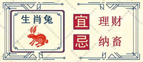 爱情运：甜蜜蜜的陷阱