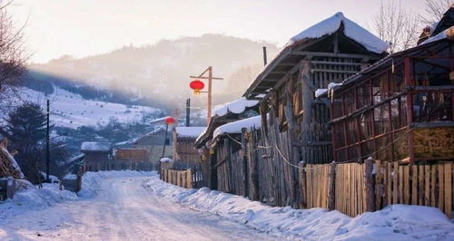 老板们梦见吃杏子要发财啦