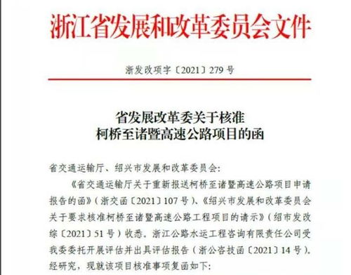 一、 核心投标单位排名与对应项目概况
