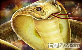 2025蛇宝宝取名指南
