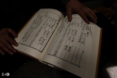 如何查询八字中金木水火土的关系？