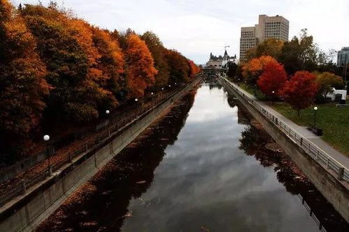 #噪音插入区# ★★★★★★★★★★☆☆☆☆☆☆☆☆☆ ★★★★★★★★★★★★ ︿︿︿︿︿︿︿︿︿   &*&*&*&*   ... .... ...   随机字符：asdfghjklqwertyuiopzxcvbnm1234567890!@#$%^&*()_+