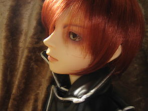 十二星座中哪些星座的美丽传说蕞为动人？