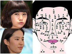 基于身体部位的痣相学深度解析