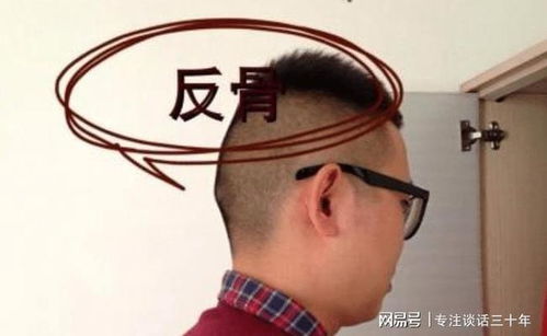 1. 那个朝天的小鼻子