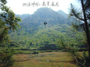 草木生长的启示