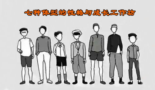 3. 瘦弱型与神经质的敏感特质