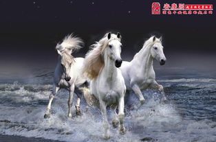 属马在十二生肖中的运势规律是怎样的？