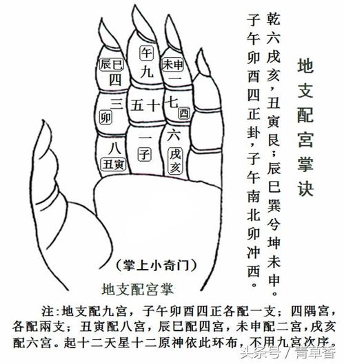 2. 九星与八神概述