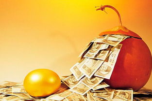 （一）行业适用性的细分阐释