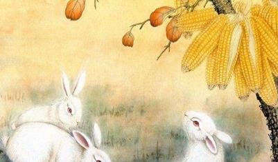 属兔人车上摆放何种风水摆件能招来偏财运？