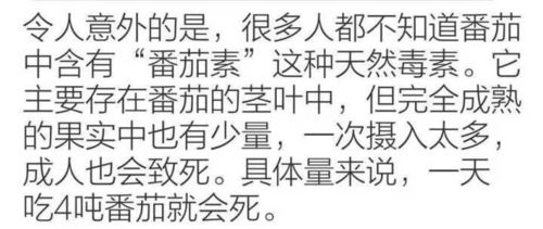 灵感的涌现：生肖星座的天意暗示