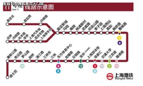 2026年星座运势与门票玄学