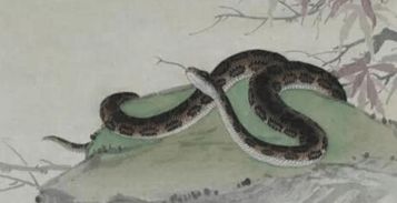 属蛇人哪年出生？1968年属猴人是什么命？