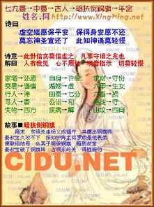 如何通过名典起名网免费算命获取个性化的智能算命起名服务？