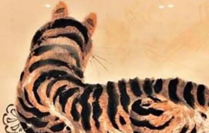 先说说为啥这老虎宝宝非要带点