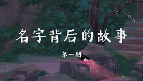 从个人爱好中发掘独特元素