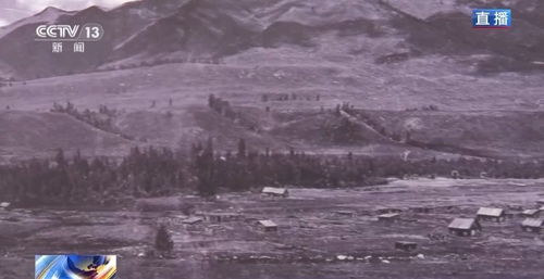 交通就是玩命！