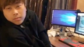 更多关于“它”的解析