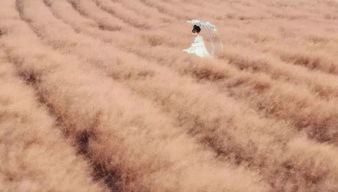 4. 要死的征兆？这也太吓人了吧