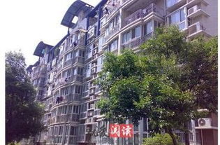 二、  五行属性与生肖匹配的深层机制