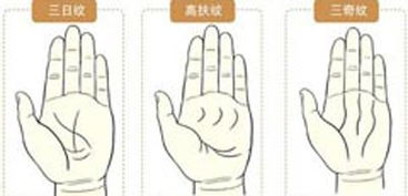 手相图解中川字掌手相是如何呈现的？