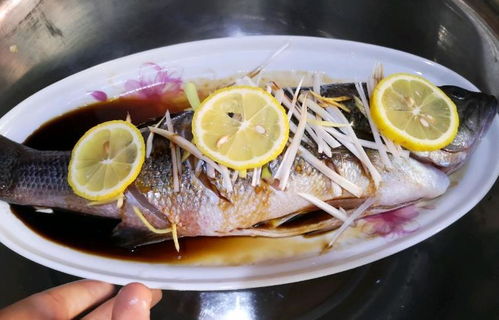 第四章：空间布局禁忌的结构性分析