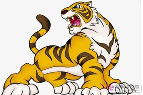 属蛇之人：理性决策与稳健规划下的财富增值