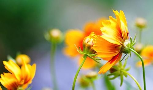 4月7号黄历运势和旧历黄历显示当天运势如何？