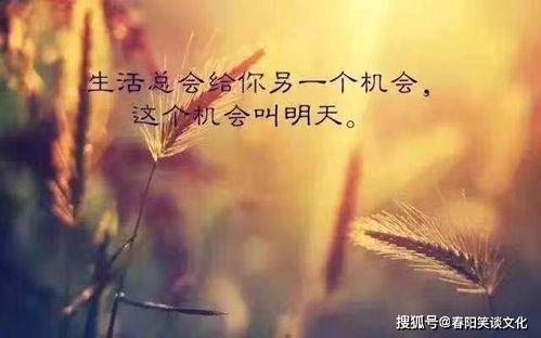 一、 ：流行语录与传统方式符号的交织