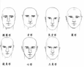 二、 椭圆形（蛋形）脸型之特征与行为倾向