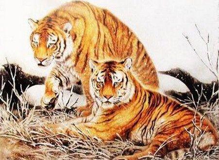 2026年属虎人的财运状况具体表现是怎样的？