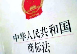 四、 案例评析：从创意到落地的完整流程