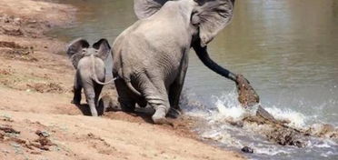 八、 终极奥义：打破常规的思维体操