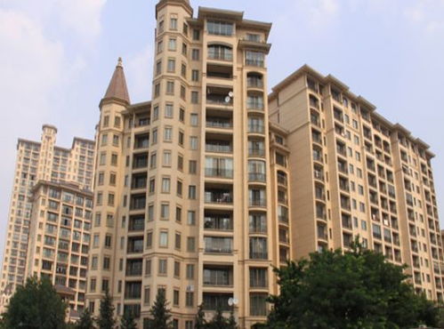 五、 外部环境因素及其潜在影响