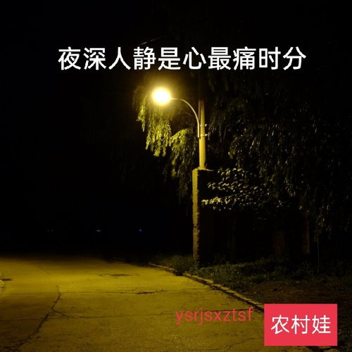 历史持续发展记载中的类似事件