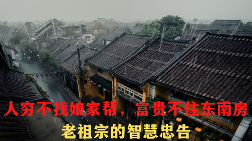 “有钱不住东南房”的更多沉重解读