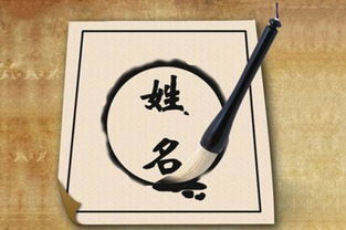 拆字组合