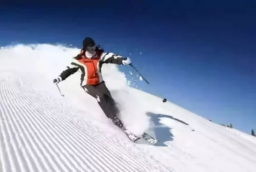 其他不太靠谱但也许有用的信息