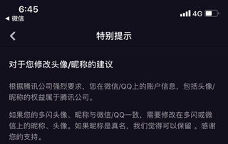 狮子：霸气与权威的戏剧化呈现