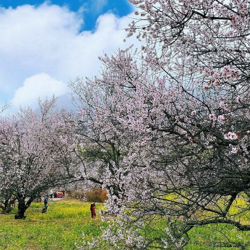 天水桃花沟：这破地方不去后悔去了更后悔
