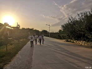 探寻清晨阳光下的名字之谜