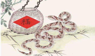 蛇（生肖蛇）