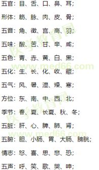 2. 五行属性：